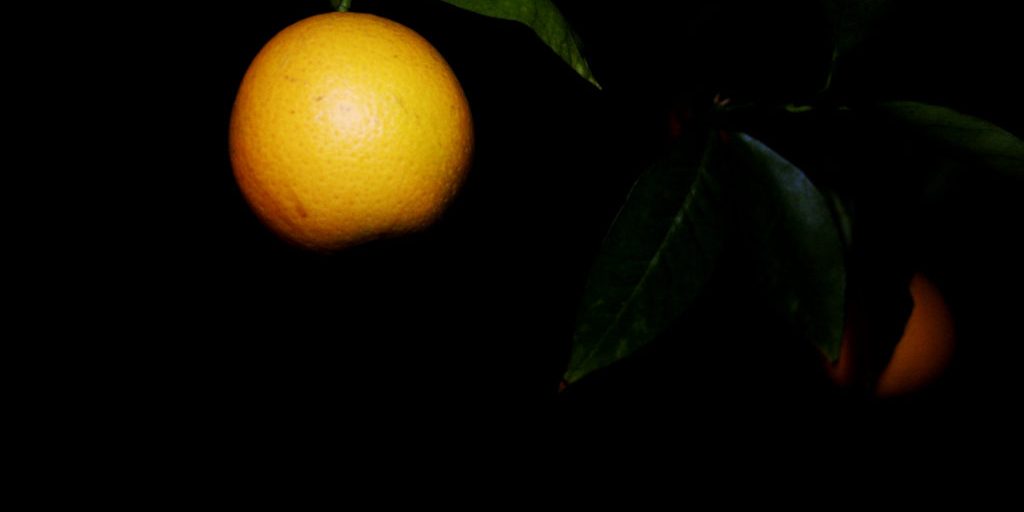 2100220266_462f0fe15c_o