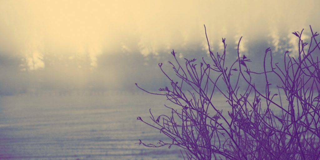 4339357512_2e68a8ceb6_o