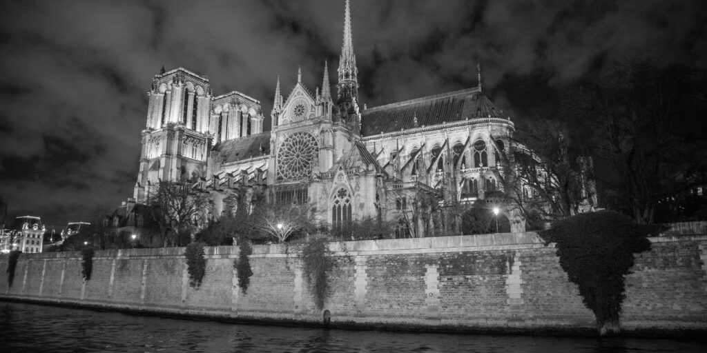 48110108561_f032d9424e_o