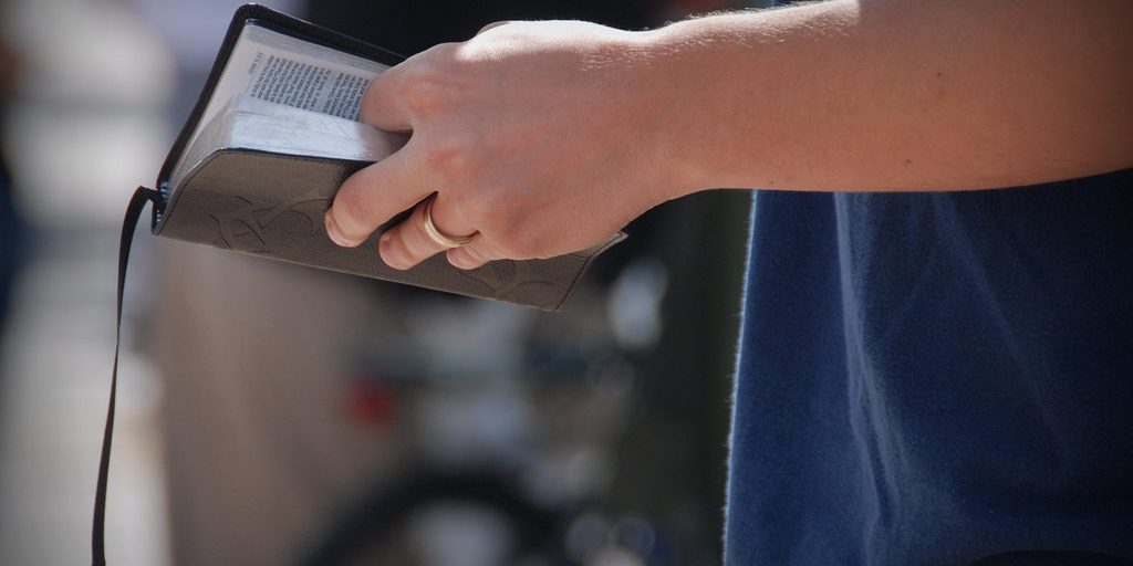 5533558309_66227ddfbe_b