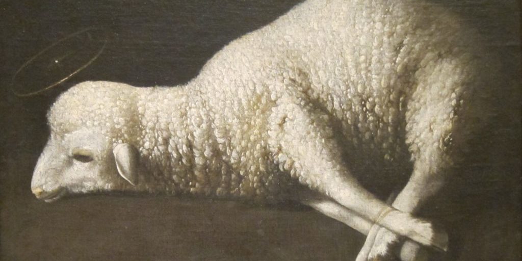 Agnus_Dei_(The_Lamb_of_God)_by_Zurbarán,_San_Diego_Museum_of_Art