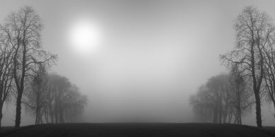 winter in the countryside  in denmark. Tree branches against the sky