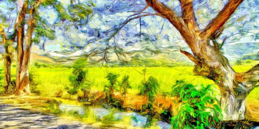 Peter Rowley - The Stream at Margaay