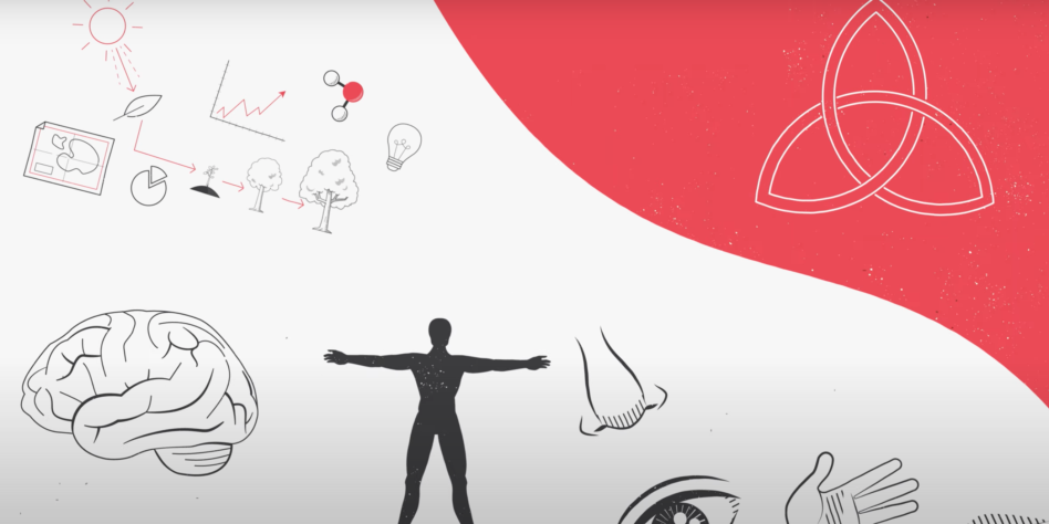 Screen Shot 2022-05-25 at 10.46.20 PM