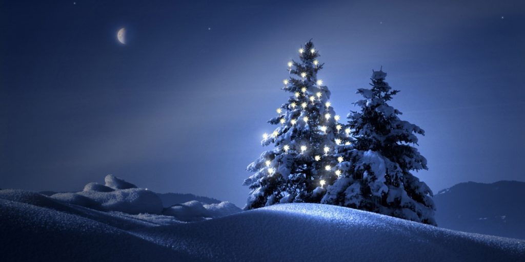 christmas-trees-in-the-snow-4058_1___2_