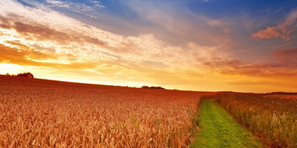 countryside-scenic-209