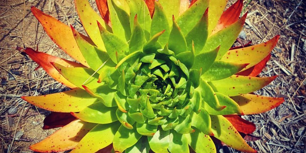 file dec 10, 9 25 13 pm