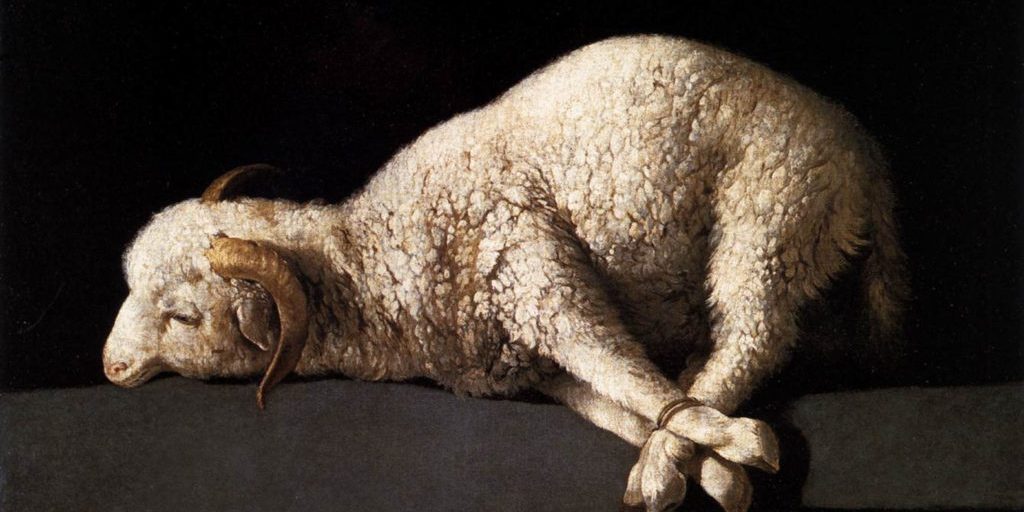 lamb_thumb