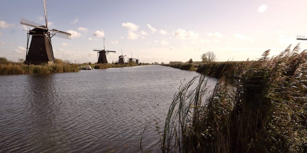 marvin-alexander-ullrich-1527611-unsplash