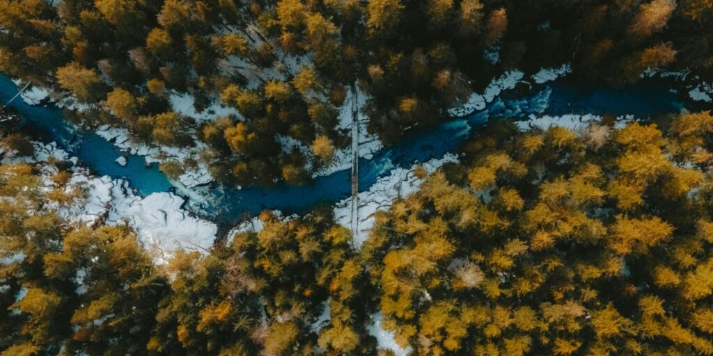 pexels-bylukemiller-15988827